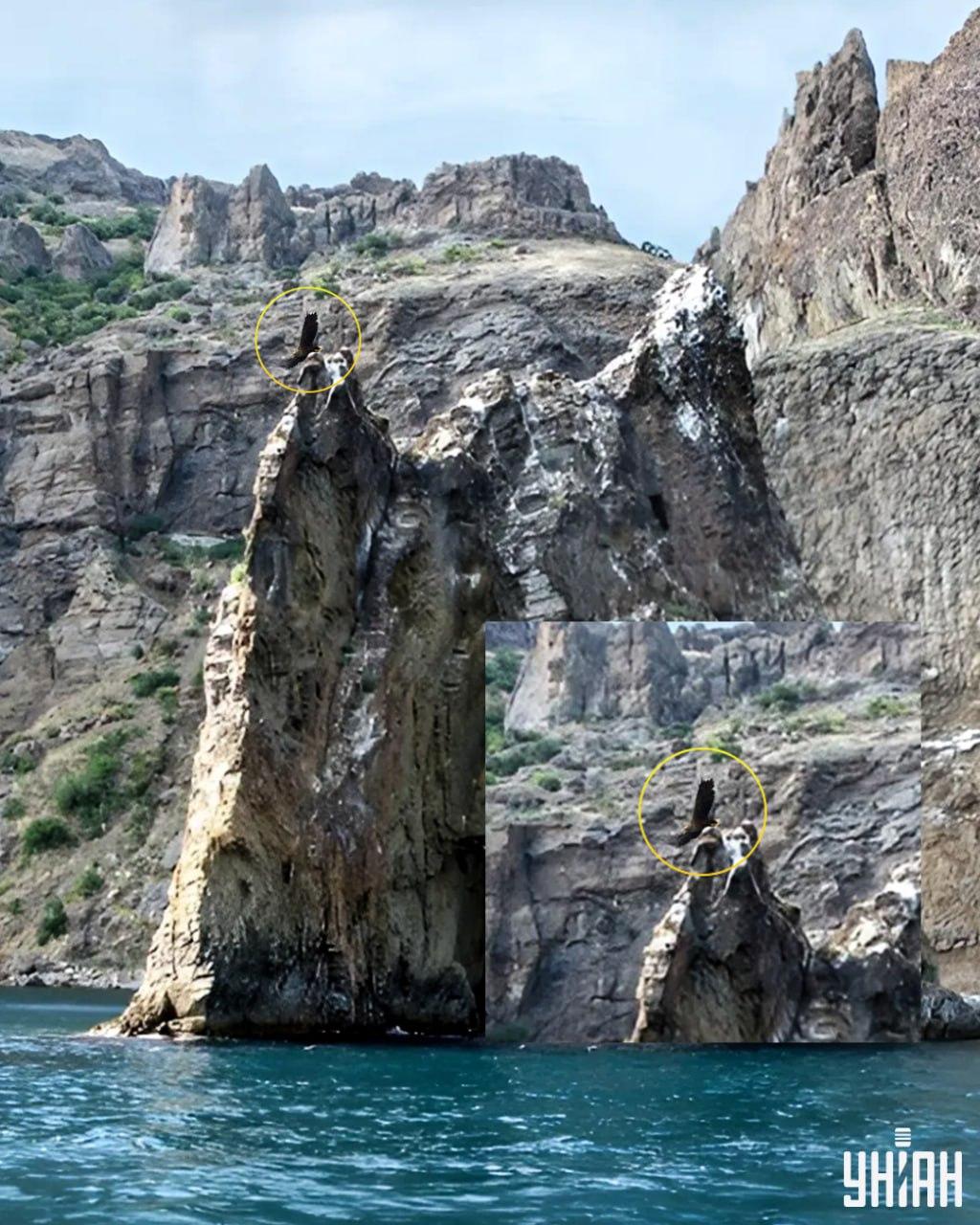 Paukštis yra ant vienos iš uolos viršūnių / koliažas su Moje nuotr.