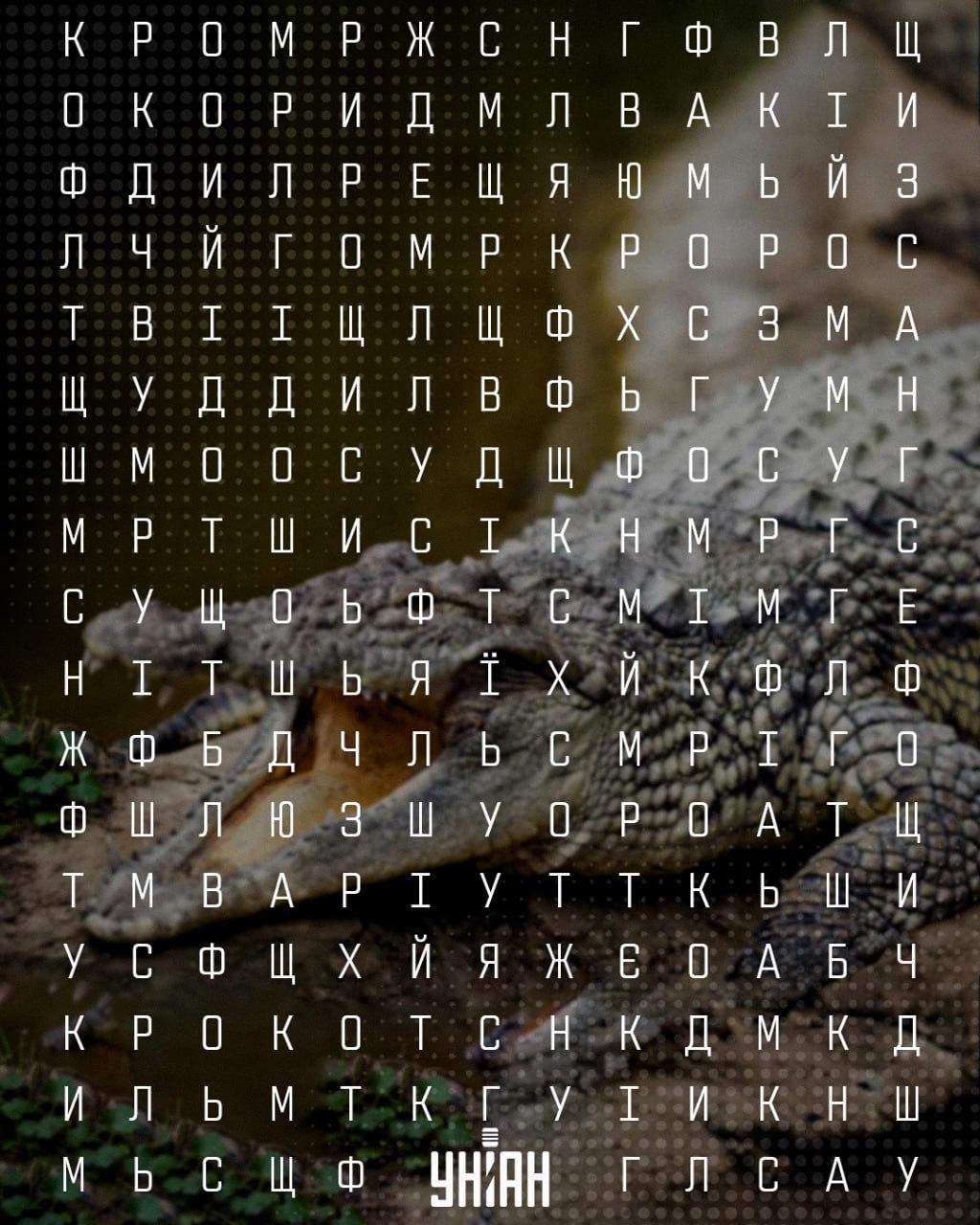Moje koliažas