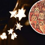 Optinė iliuzija erelio regėjimo žmonėms: tarp kačių reikia rasti žvaigždę