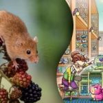 Pelės bibliotekoje suradimas per 12 sekundžių: nepaprastas galvosūkis genijams