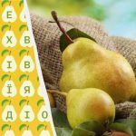 Tik 2 proc. žmonių per 10 sekundžių suranda žodį „kriaušė”: